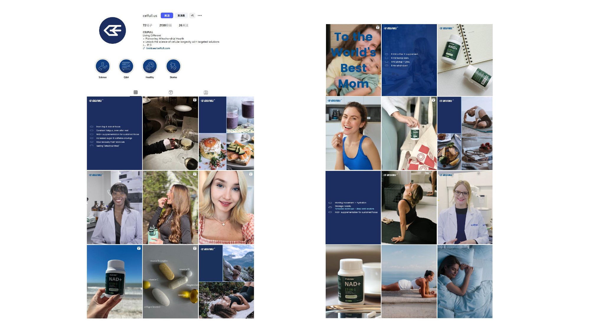 Celfull social media