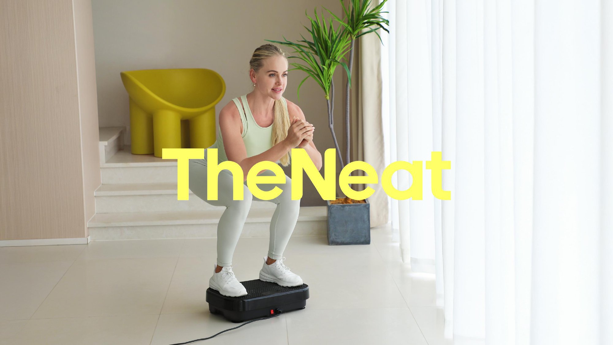TheNeat VI system