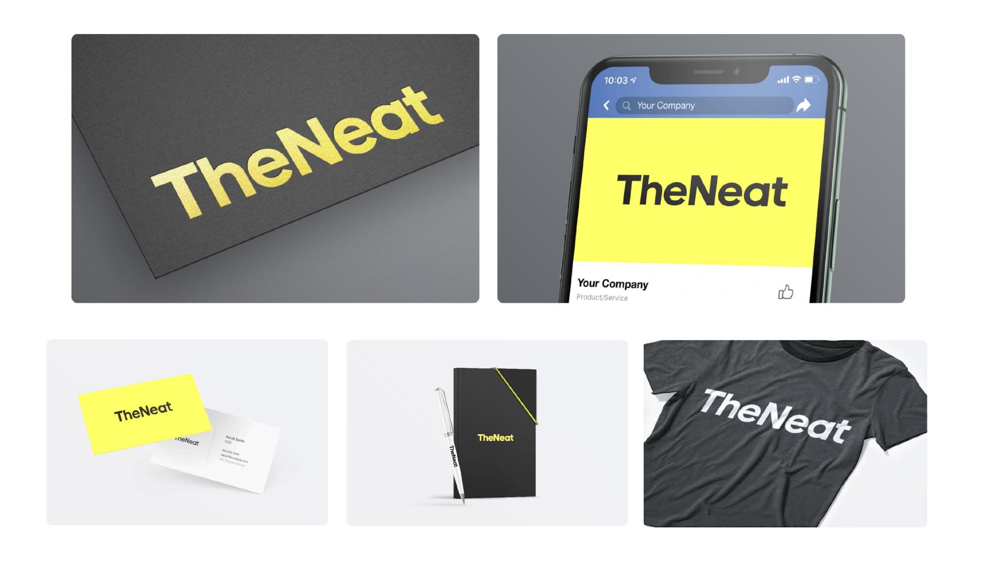 TheNeat VI system
